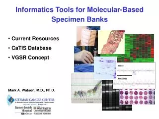 Informatics Tools for Molecular-Based Specimen Banks