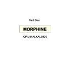 MORPHINE - slide 1