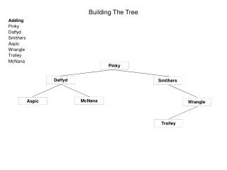 Building The Tree