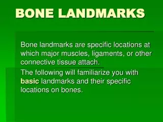 bone landmarks