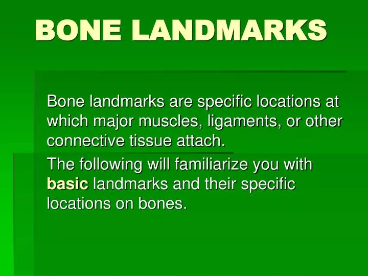 bone landmarks