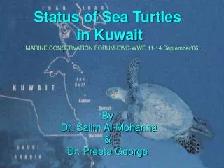 Status of Sea Turtles in Kuwait