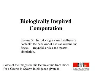 Biologically Inspired Computation