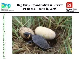 Bog Turtle Coordination &amp; Review Protocols – June 18, 2008