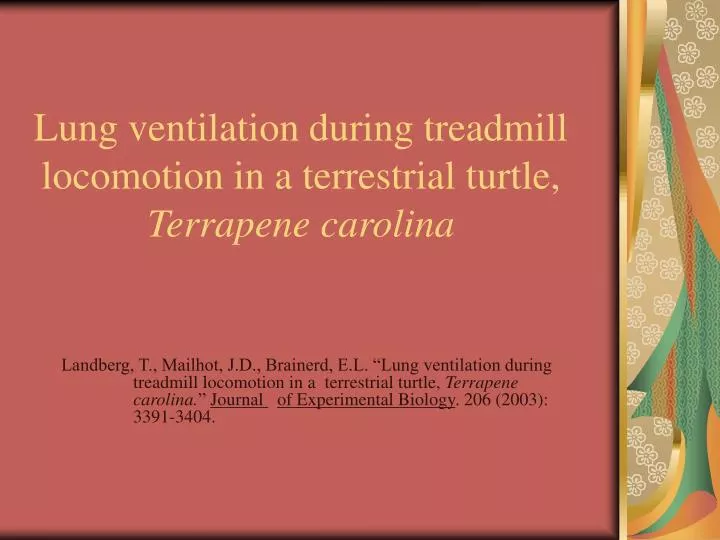 lung ventilation during treadmill locomotion in a terrestrial turtle terrapene carolina