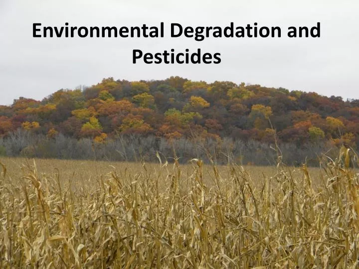 environmental degradation and pesticides