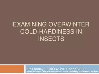 Examining overwinter cold-hardiness in insects