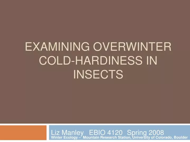 examining overwinter cold hardiness in insects