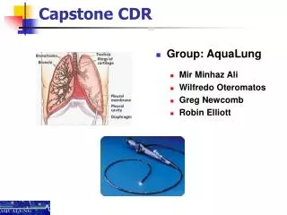 Capstone CDR