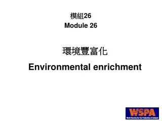 環境 豐 富化 Environmental enrichment