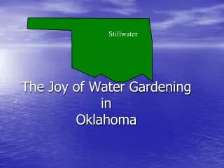 The Joy of Water Gardening in Oklahoma