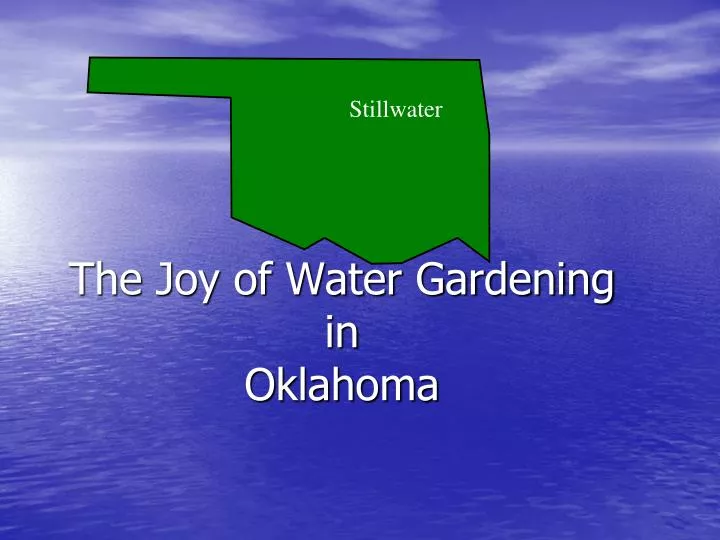 the joy of water gardening in oklahoma