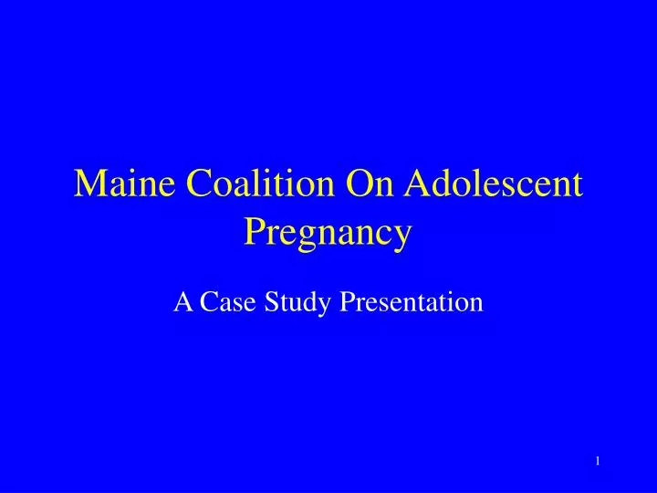 maine coalition on adolescent pregnancy