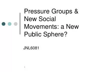 Pressure Groups &amp; New Social Movements: a New Public Sphere?
