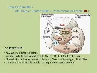 Total Carbon ( TC ) = Total Organic Carbon ( TOC ) + Total Inorganic Carbon ( TIC )