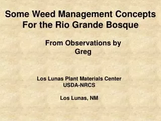 Some Weed Management Concepts For the Rio Grande Bosque