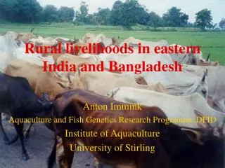 Rural livelihoods in eastern India and Bangladesh
