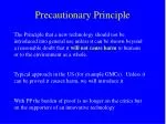 Precautionary Principle - slide 1