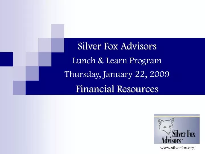 silver fox advisors lunch learn program thursday january 22 2009 financial resources