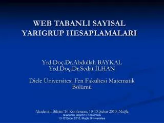 web tabanli sayisal yarigrup hesaplamalari