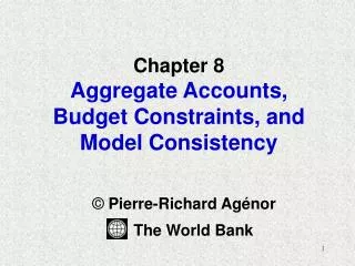 Chapter 8 Aggregate Accounts, Budget Constraints, and Model Consistency
