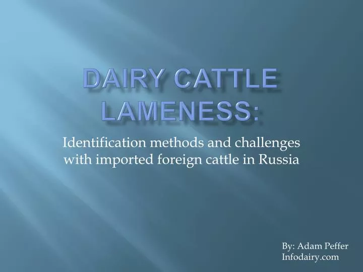 dairy cattle lameness