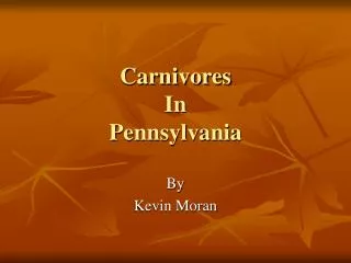 Carnivores In Pennsylvania