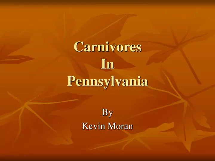 carnivores in pennsylvania