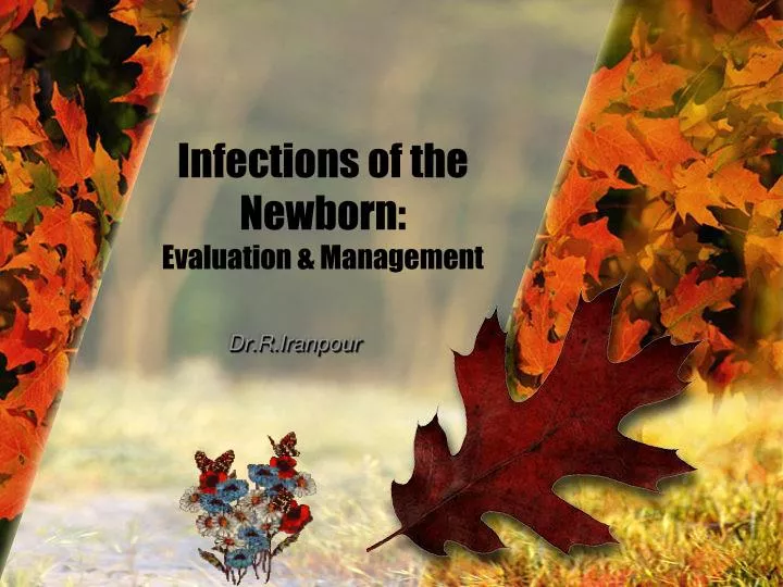 infections of the newborn evaluation management