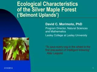 Ecological Characteristics of the Silver Maple Forest (‘Belmont Uplands’)