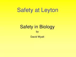 Safety at Leyton