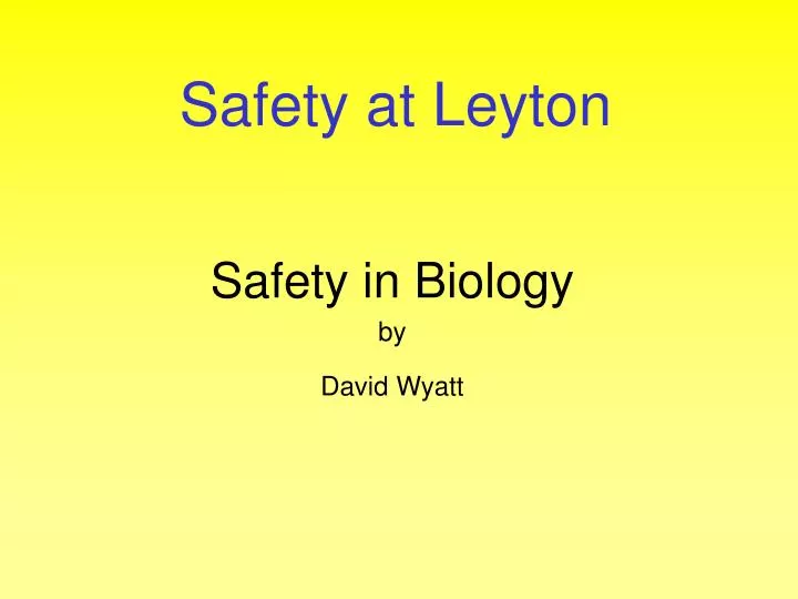 safety at leyton