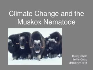 Climate Change and the Muskox Nematode