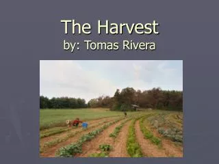 The Harvest by: Tomas Rivera