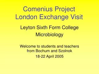 Comenius Project London Exchange Visit