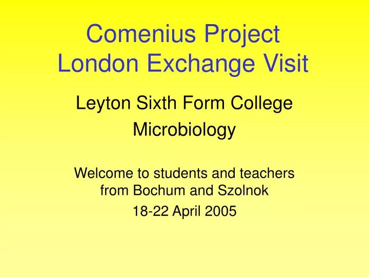 comenius project london exchange visit