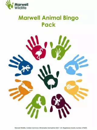 Marwell Animal Bingo Pack