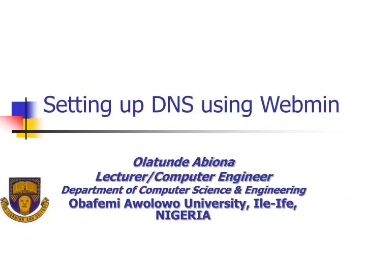 setting up dns using webmin