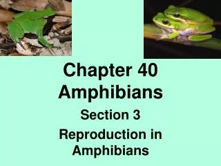 Chapter 40 Amphibians