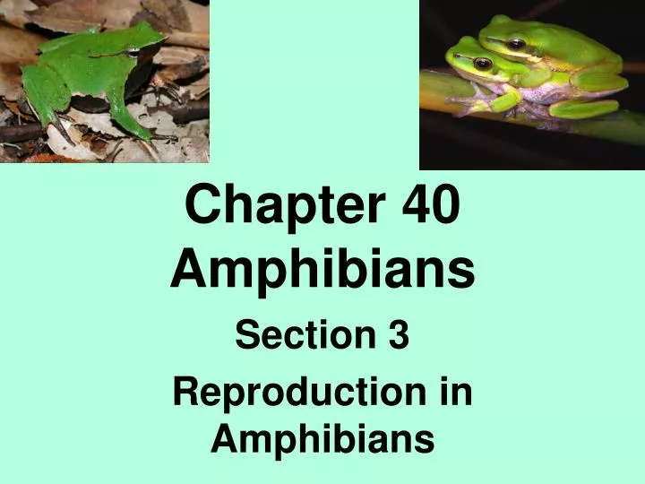 chapter 40 amphibians