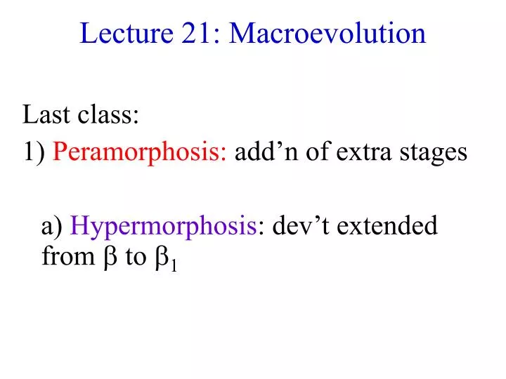 lecture 21 macroevolution