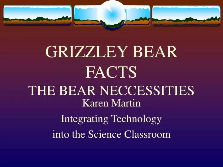 grizzley bear facts the bear neccessities