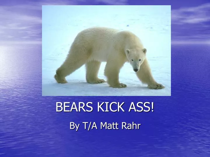 bears kick ass