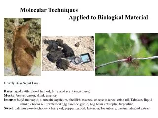 Molecular Techniques 			 Applied to Biological Material
