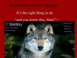 Reintroduction of Species It’s the right thing to do “and you know this, Man!”-- Smokey