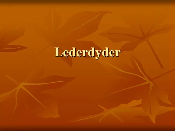 lederdyder