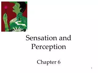 Sensation and Perception Chapter 6