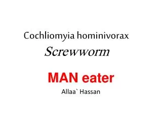 Cochliomyia hominivorax Screwworm
