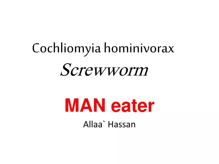 cochliomyia hominivorax screwworm