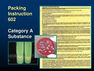 Packing Instruction 602 Category A Substance